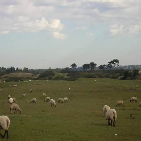 Cozy Couple Retreat In Normandy Appartamento Servigny