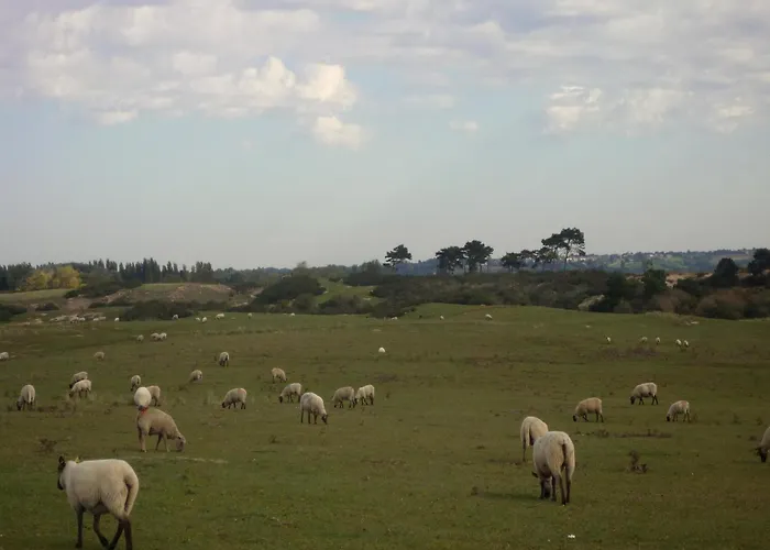 Cozy Couple Retreat In Normandy شقة Servigny